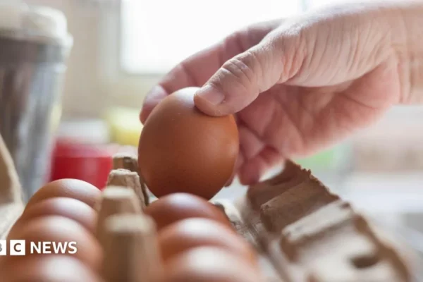 Eggs on a kitchen counter during a UK salmonella food safety investigation