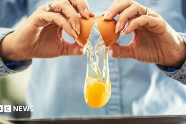 Eggs on a kitchen counter as health officials investigate a salmonella outbreak