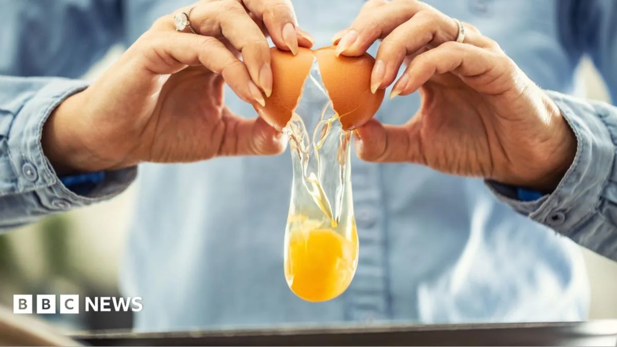 Eggs on a kitchen counter as health officials investigate a salmonella outbreak
