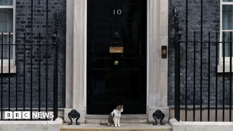 10 Downing Street front door used in a fake Booking.com listing test