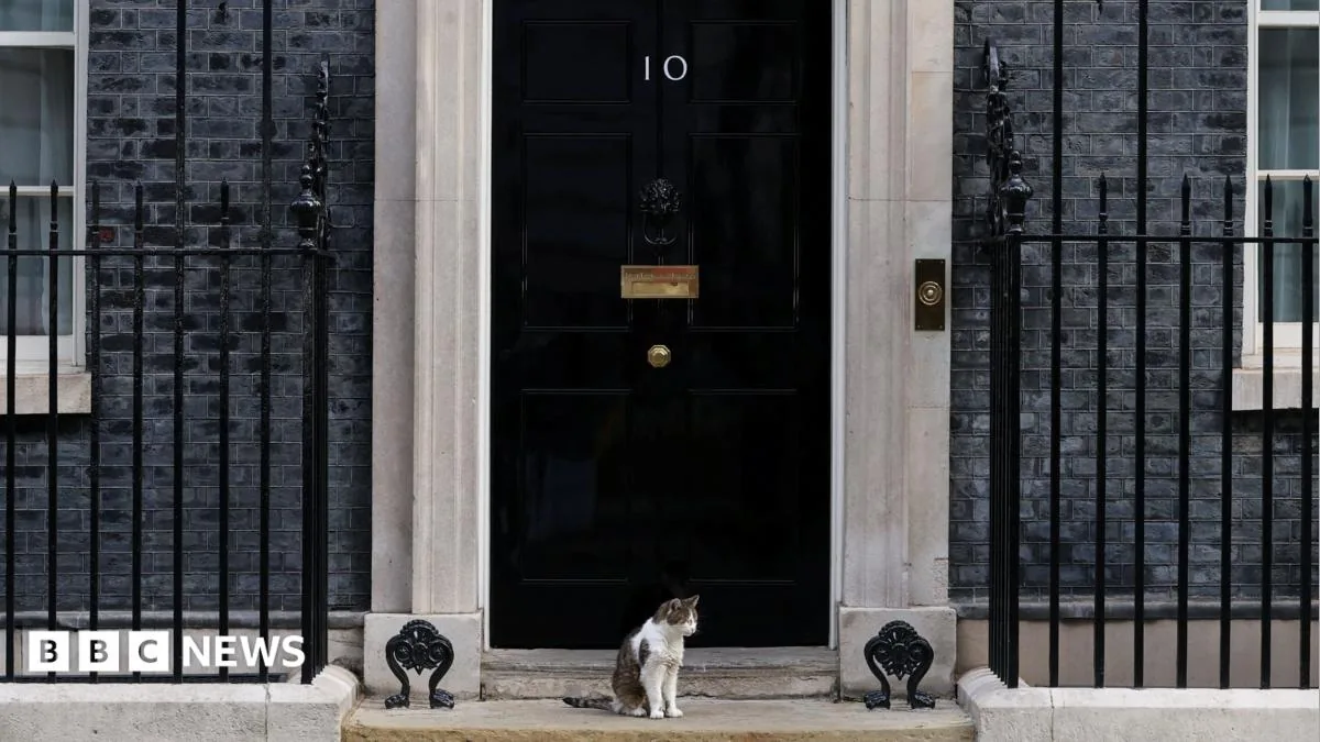 10 Downing Street front door used in a fake Booking.com listing test